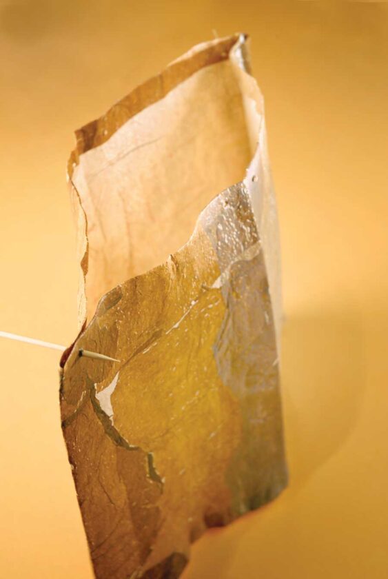 Fold lampshade in half and crease. Using a skewer, poke a hole through top hem about 3/4 inch in from the fold. Repeat on opposite end and again on bottom hem, creating four holes near each corner. Then fold shade in half along the opposite axis. Make holes in the four corners as before.